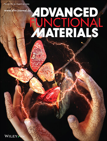Wynalazek firmy SK On zwalczający dendryty litowe trafił na okładkę magazynu Advanced Functional Materials