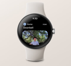 Aplikacja Google Home może teraz wyświetlać powiadomienia z obrazami wideobrzęczków Nest na niektórych smartwatchach z systemem Wear OS 3. (Źródło obrazu: Google)