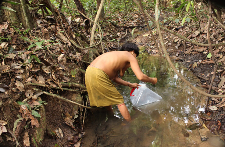 Kobieta pobierająca wodę z rzeki (zdjęcie: Fundacja Yanomami)