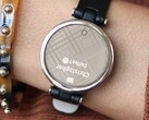 Smartwatch Garmin Lily jest teraz dostępny w dwóch nowych wersjach kolorystycznych. (Źródło obrazu: Garmin)