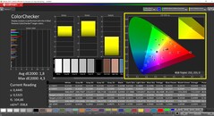 CalMAN ColorChecker skalibrowany (docelowa przestrzeń barw P3)