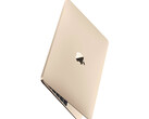 Nie ma konkretnych dowodów sugerujących, że prace nad nowym 12-calowym MacBookiem są w toku. (Źródło obrazu: Apple)