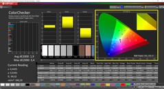 CalMAN ColorChecker (profil natywny, docelowa przestrzeń barw P3)