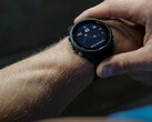 Smartwatch Garmin Forerunner 255 otrzymuje wersję beta 15.18. (Źródło obrazu: Garmin)