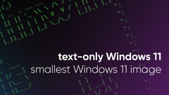 Deweloper Tiny11 redukuje system Windows 11 do jego minimalnej postaci (Źródło obrazu: NTDev)