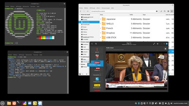 Zrzut ekranu z wciąż eksperymentalnej sesji Wayland w Cinnamon 6.0 (Obraz: Linux Mint).