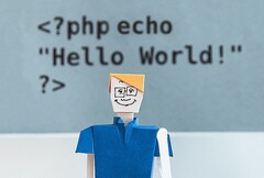 PHP pozostaje w tyle za językami programowania z rodziny C pod względem popularności (źródło obrazu: Agencja KOBU na Unsplash)