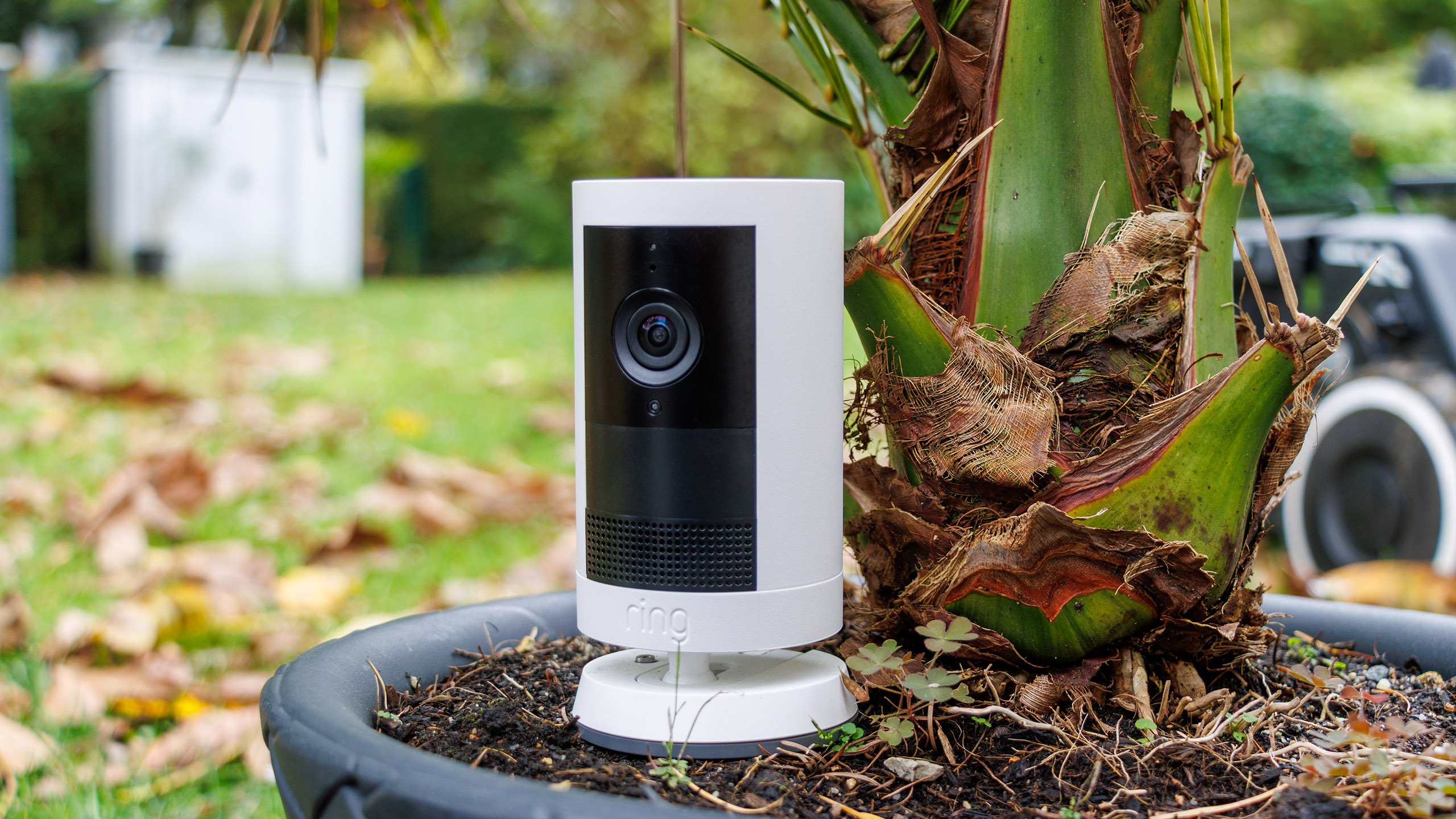 (Źródło zdjęcia: Daniel Schmidt)