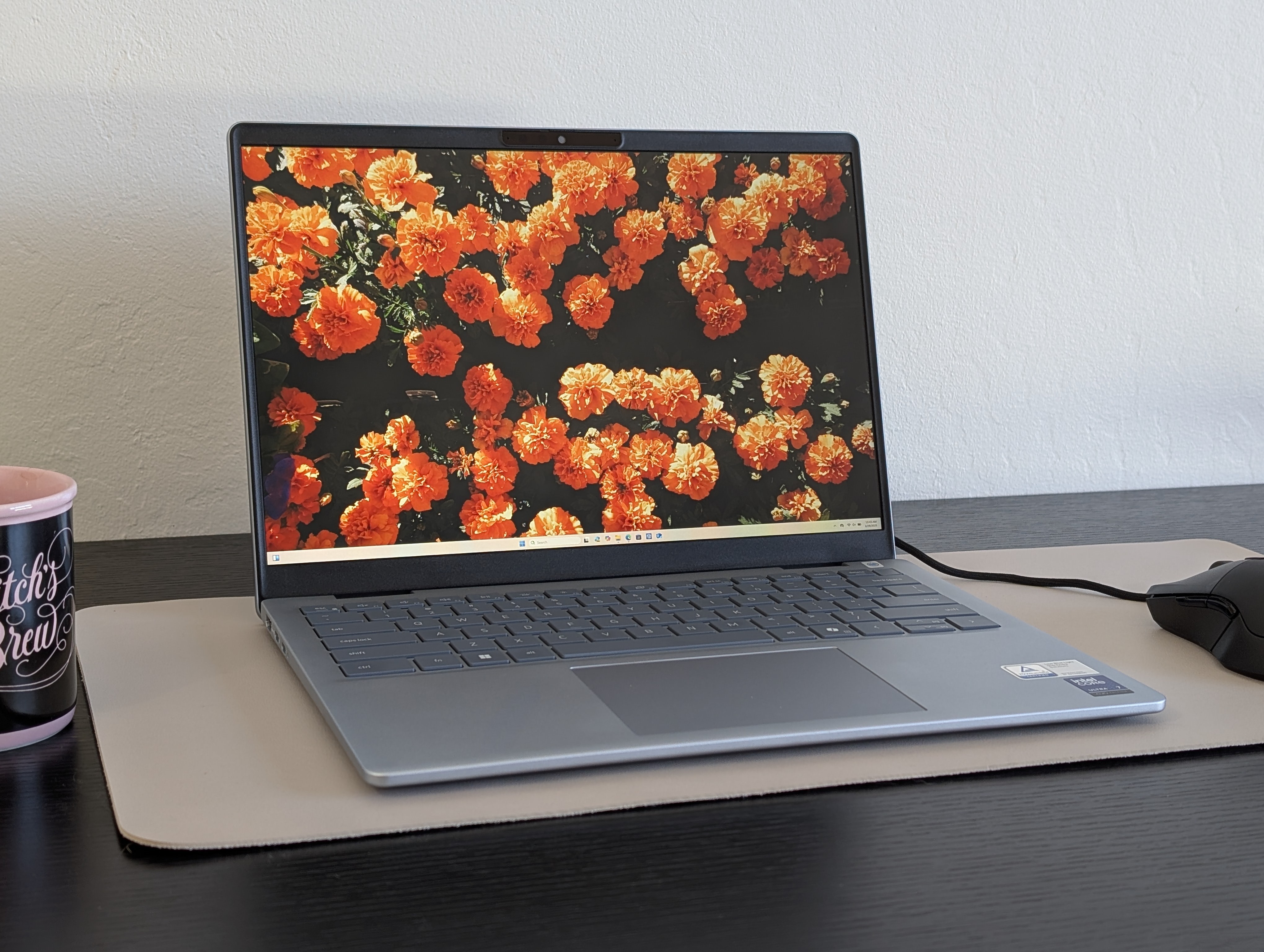Recenzja laptopa Dell 14 Plus: Nowa nazwa w znajomym stylu