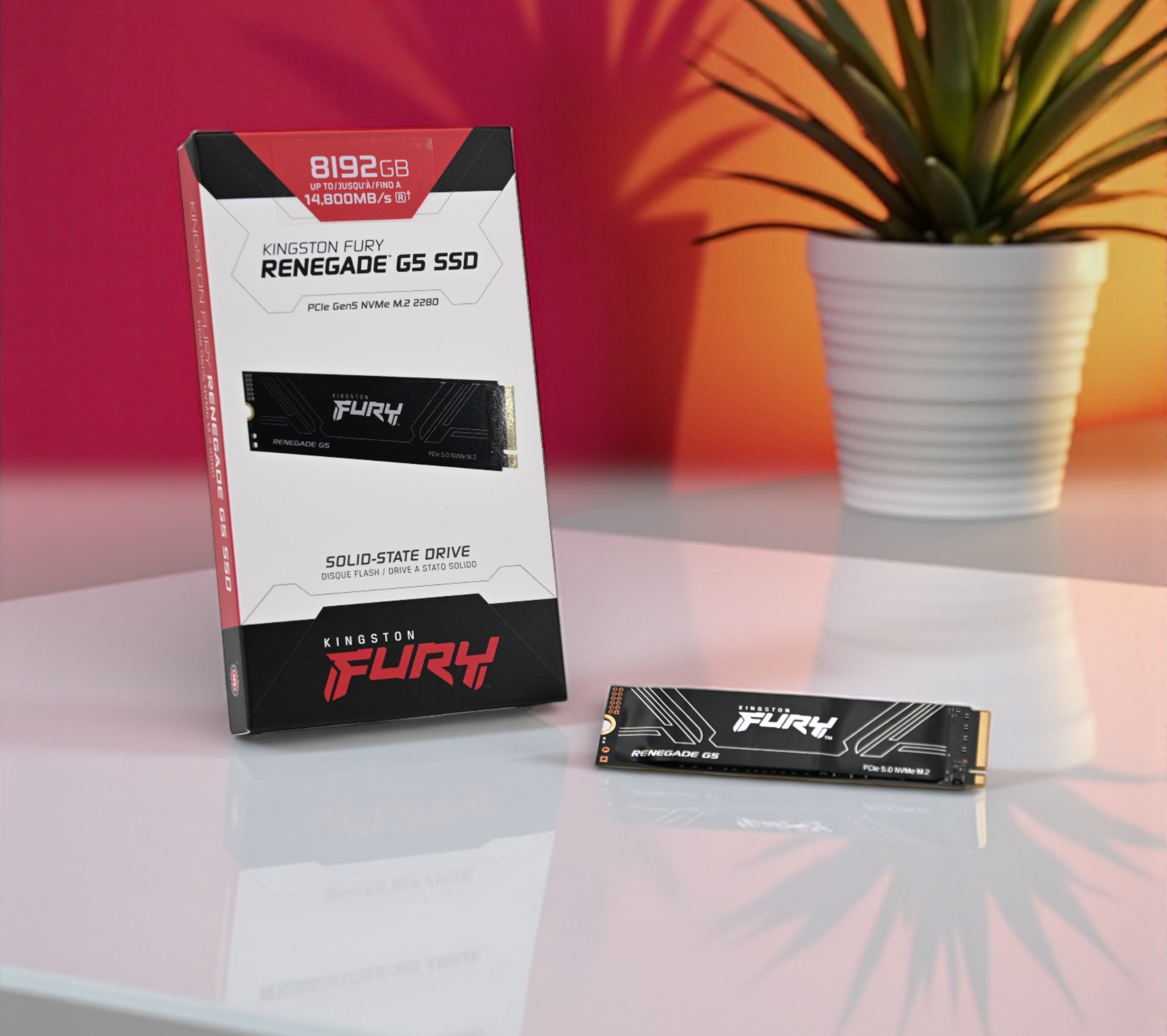 Recenzja Kingston Fury Renegade G5 8 TB - wysokiej klasy dysk SSD PCIe 5.0 NVMe o przepustowości ponad 14 000 MB/s do gier i stacji roboczych