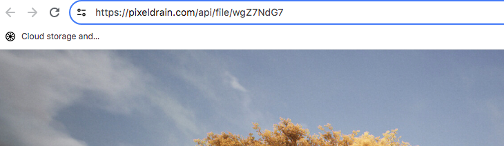 Najprostszym sposobem na rozpoczęcie korzystania z PixelDrain jest przesłanie plików do My Files. W rezultacie otrzymają Państwo link podobny do tego przedstawionego powyżej. Chociaż nie jest to prawidłowe hotlinkowanie, jest to nadal lepsze niż to, co oferuje większość konkurencyjnych platform (źródło obrazu: Notebookcheck)