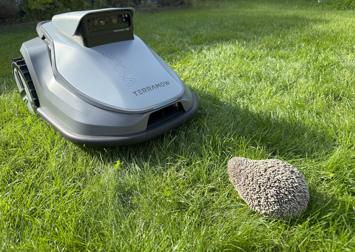 Mapowanie AI i doskonałe unikanie przeszkód: Recenzja TerraMow V1000