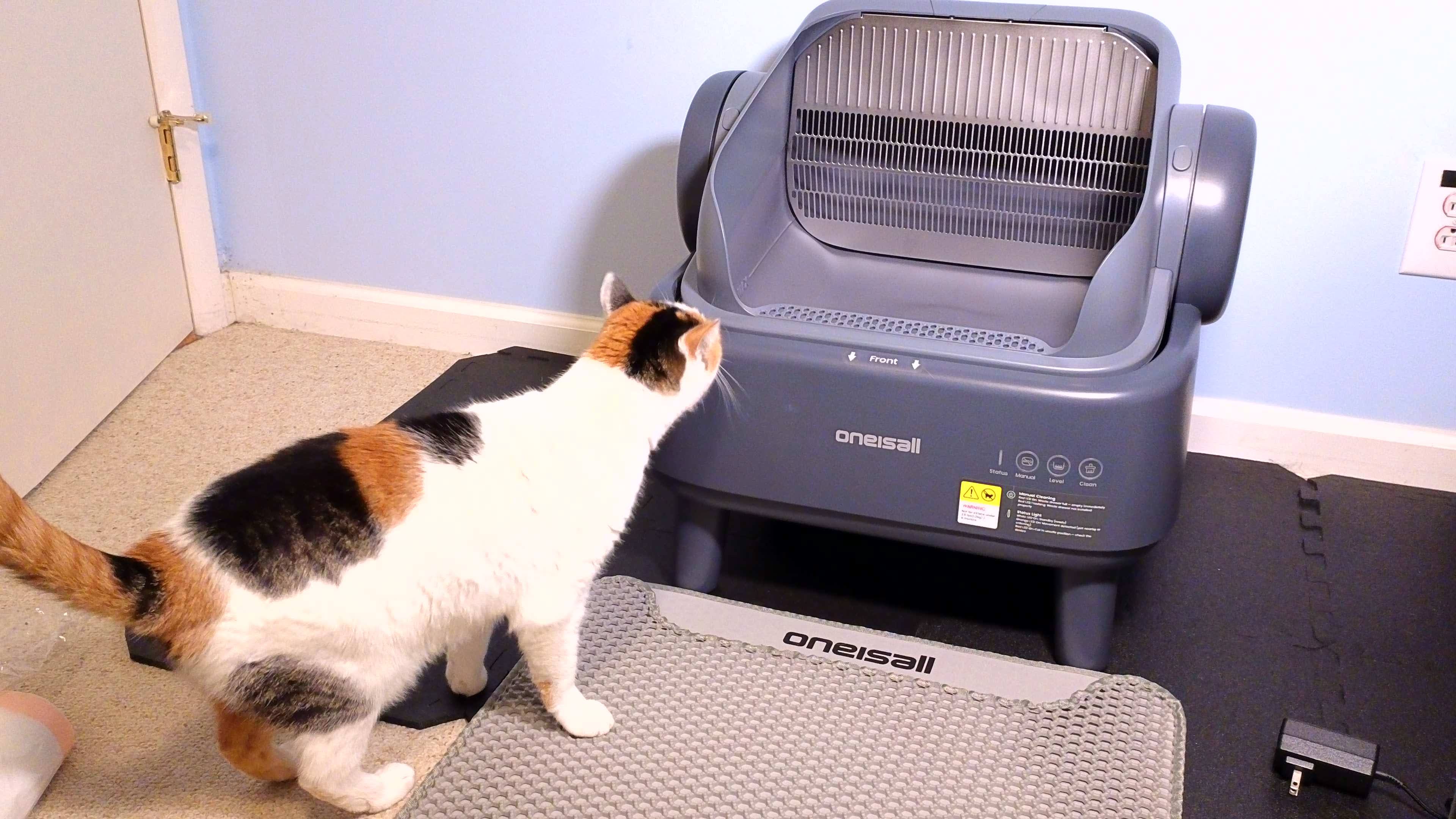 Recenzja automatycznej kuwety Oneisall Ease S1: Wygląda tak dobrze, jak działa