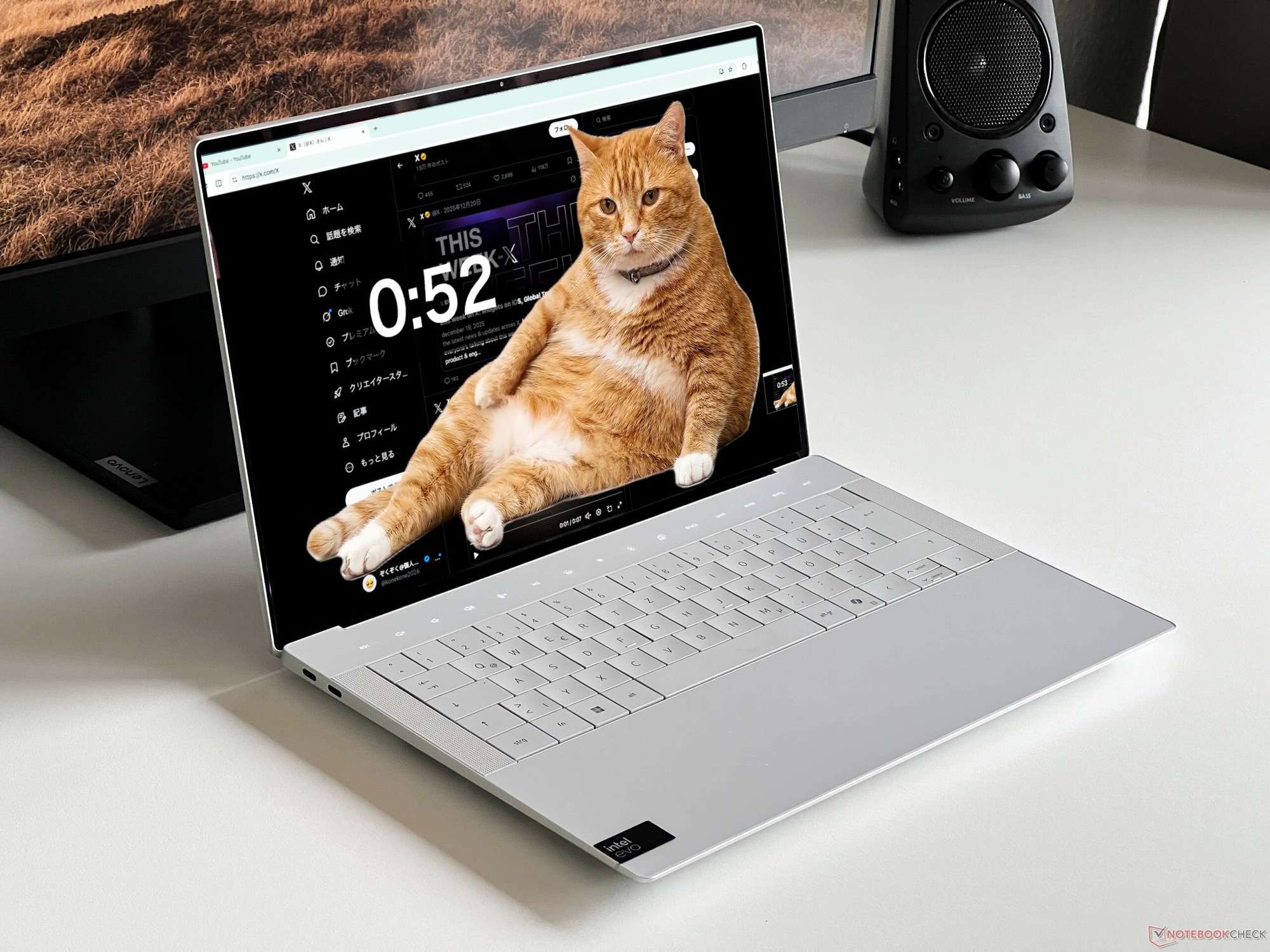 Cat Gatekeeper walczy z doomscrollingiem dzięki pomarańczowego kota