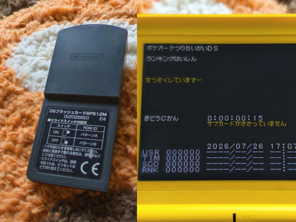 Rzadka kartridż deweloperska do konsoli Nintendo DS wystawiona na eBayu za ponad 9 000 dolarów może zawierać zaginioną grę z serii Pokémon, w którą nie można grać od 2005 roku.