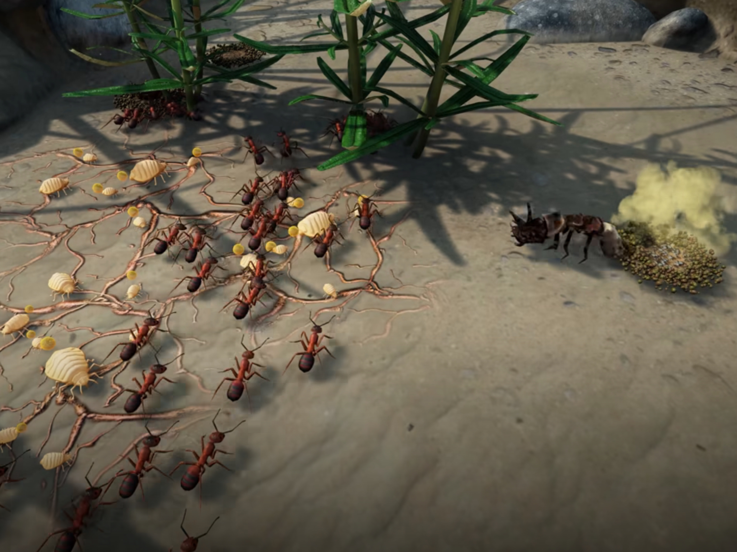94% pozytywnych opinii: Tętniąca życiem gra RTS „Bustling Ant” spadła poniżej 9 dolarów na platformie Steam