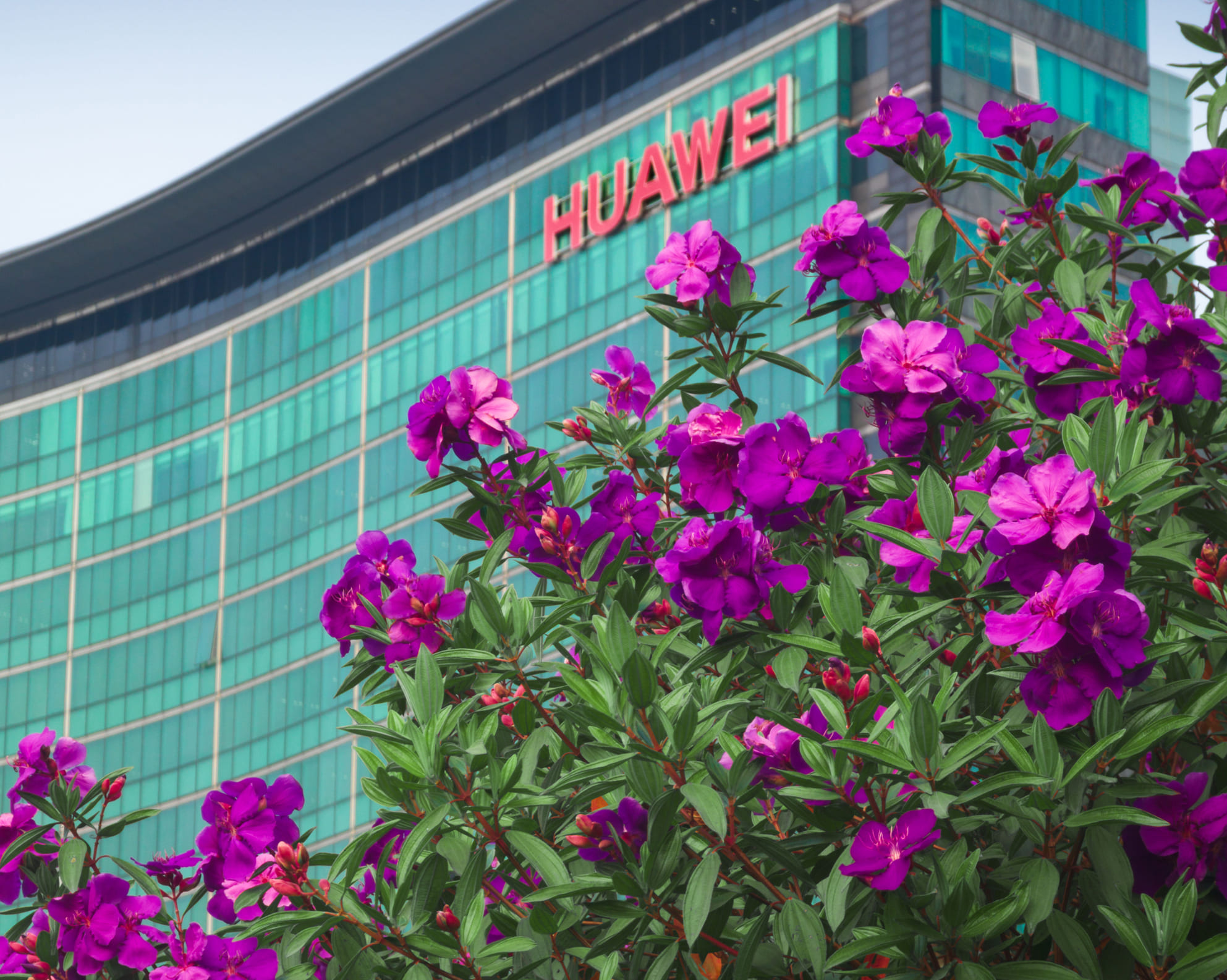 Qualcomm kupi amerykańskie patenty Huawei w ramach wieloletniej umowy licencyjnej dotyczącej 5G i AI