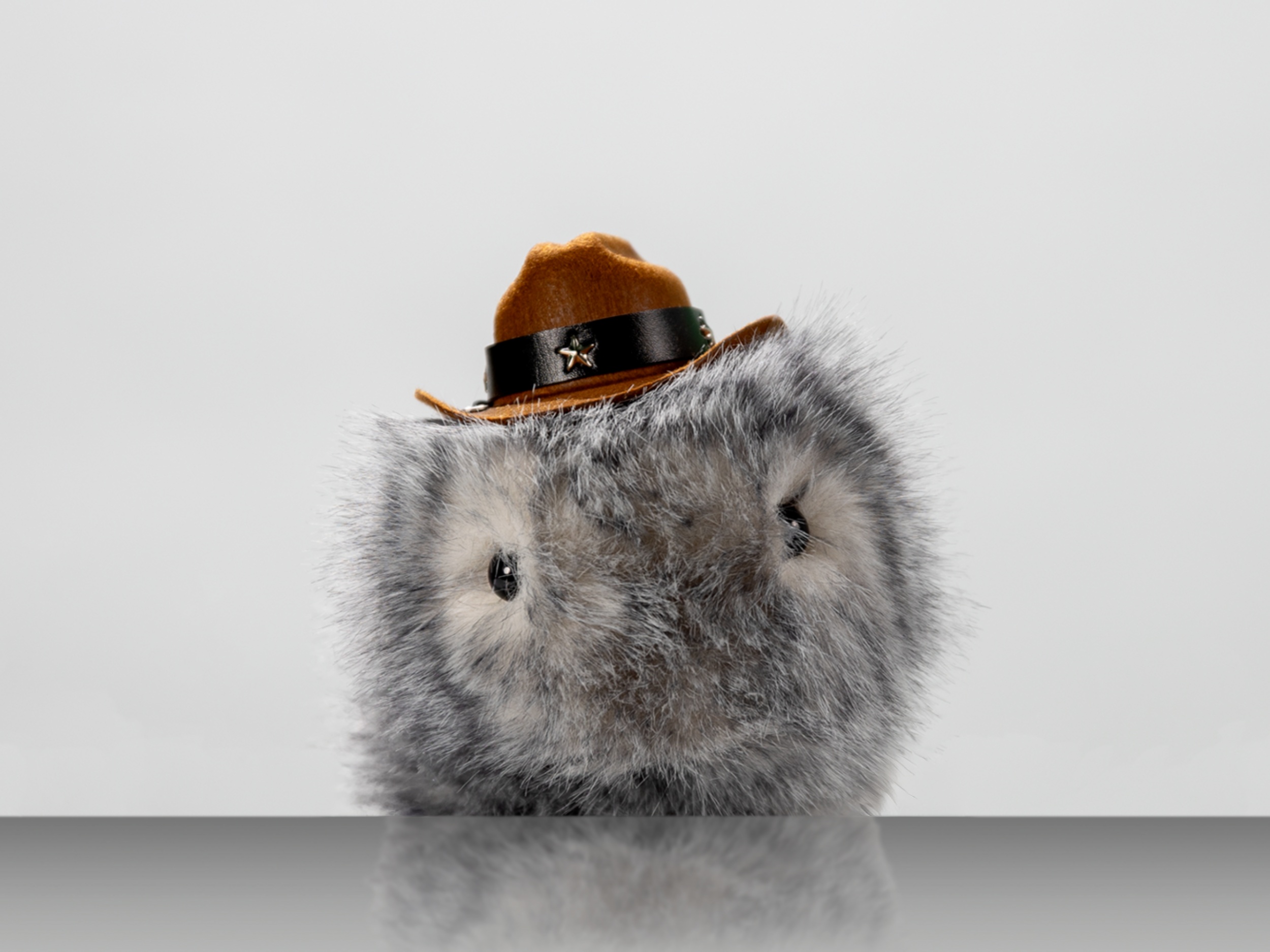 Dziesięć świnek morskich, dziesięć osobowości: Zoo napędzane sztuczną inteligencją otwiera się bezpłatnie w Karlsruhe