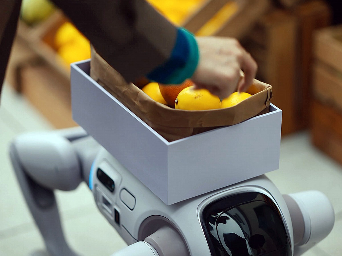 Robot osobisty T1, zdolny do zmiany kształtu, przekształca się z humanoida w psa-robota, aby pokonywać schody