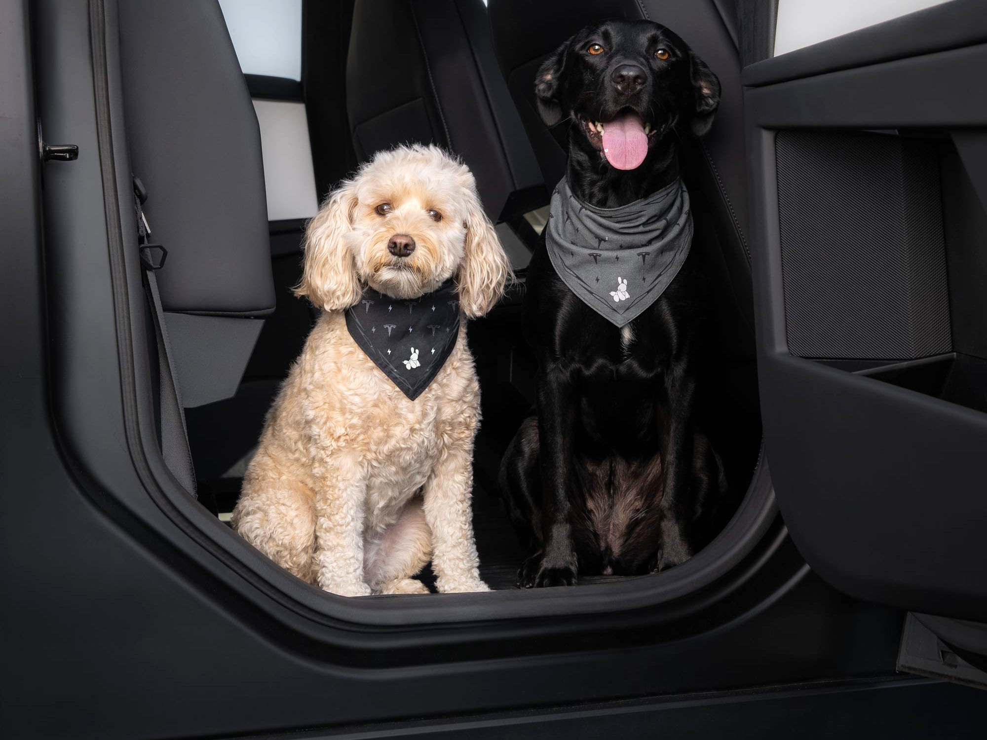 Tesla promuje zabawkę do żucia „Dog Mode” jako system dostarczania masła orzechowego w nowej linii akcesoriów dla zwierząt domowych