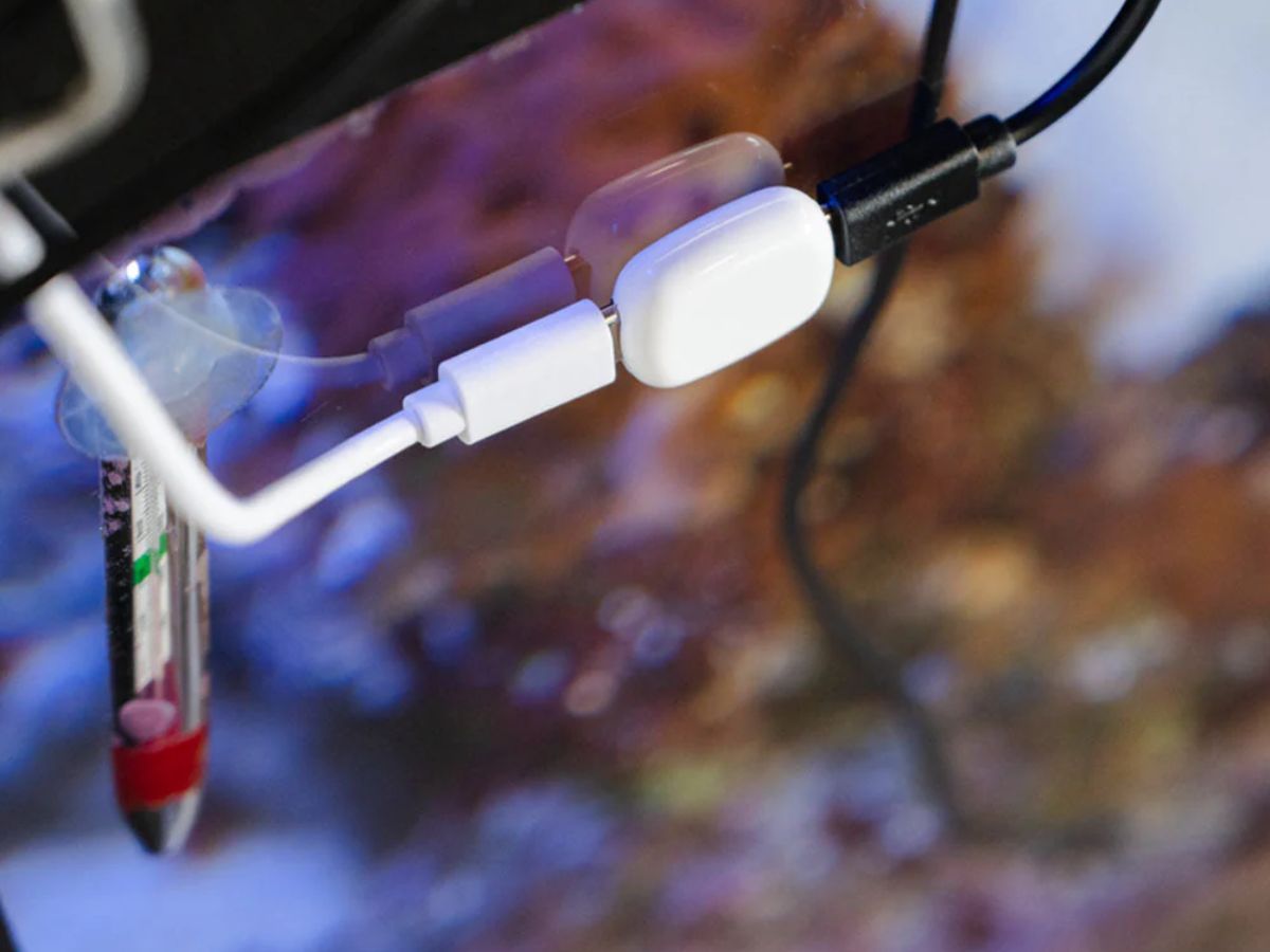 Nowe kompaktowe akcesorium sensoryczne The Pill by Shelly wydane w USA