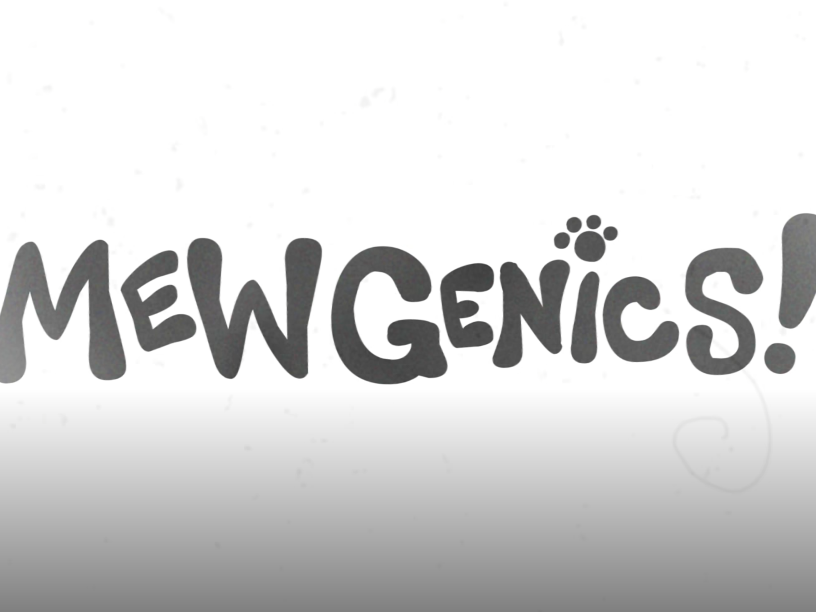 Roguelite o tematyce kociej debiutuje na Steam z ponad 3500 przytłaczająco pozytywnymi recenzjami i 10% zniżką