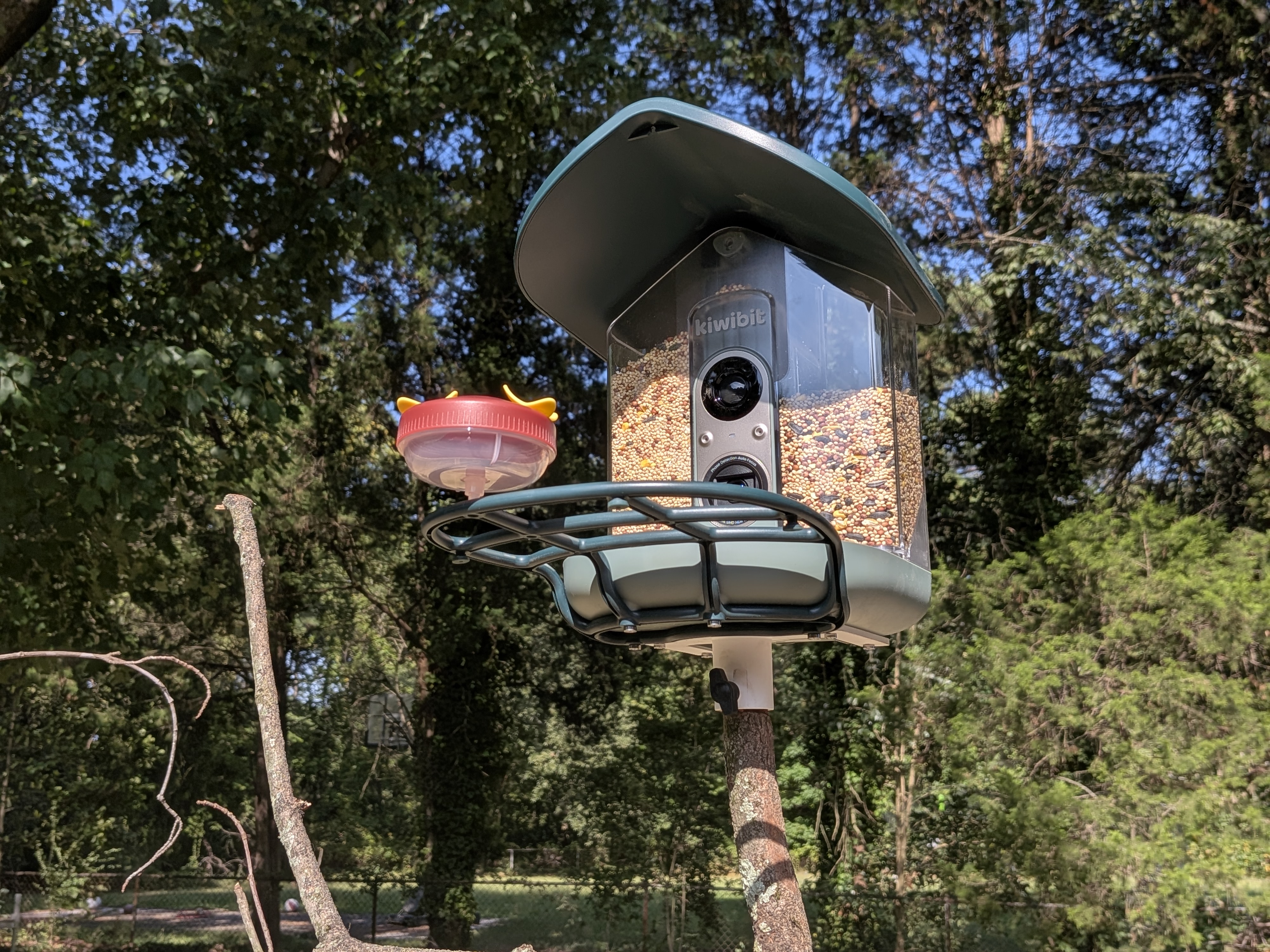 Recenzja Kiwibit Bird Feeder 2 Pro: Ptaki nie mogą się nim nacieszyć