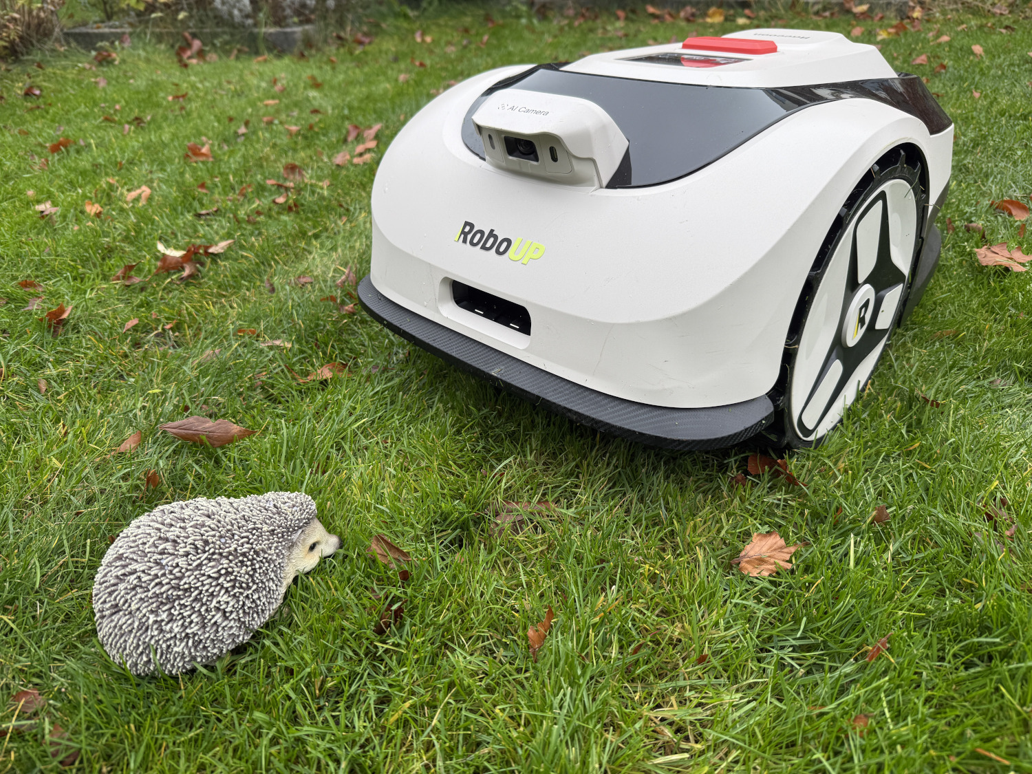 Przystępna cenowo kosiarka automatyczna bez przewodu do małych ogrodów: Recenzja RoboUp Raccoon 2 SE