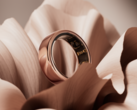 Czy Oura ring 4 może pokonać Samsunga Galaxy ring pod względem wzornictwa i płatności zbliżeniowych? (Źródło zdjęcia: Oura)