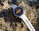 Pojawiło się oprogramowanie systemowe 22.07 dla komputerów nurkowych Descent Mk3 i Mk3i (na zdjęciu). (Źródło zdjęcia: Garmin)