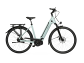 Rower elektryczny Velo de Ville 2024 AEB 990 można dostosować na wiele sposobów. (Źródło zdjęcia: Velo de Ville)