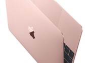 Apple MacBook (rose gold)