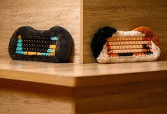 Petbrick 65 jest dostępny w dwóch wariantach o tematyce kociej. (Źródło zdjęcia: Dry Studio)