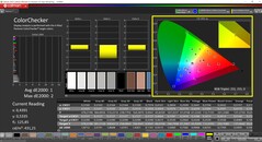 CalMAN ColorChecker (profil: P3, docelowa przestrzeń kolorów: P3)