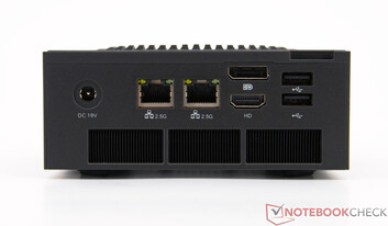 Peladn HO5 - Połączenia na panelu tylnym