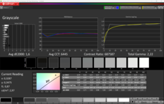 Skala szarości CalMAN