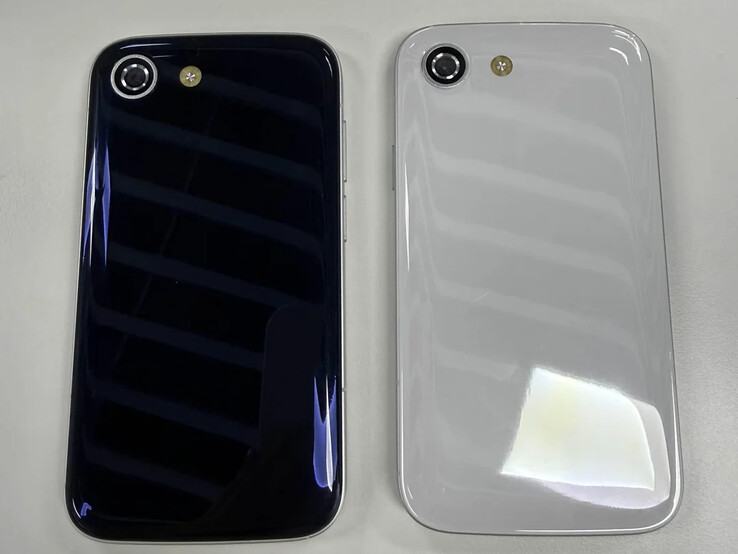 (Źródło zdjęcia: Zinwa via Reddit)