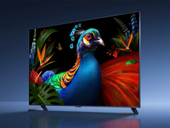Seria telewizorów innych niż Supreme TV S Pro 2027 RGB Mini LED będzie dostępna w rozmiarach do maksymalnie 98 cali. Na zdjęciu: zdjęcie promocyjne przedstawiające telewizor z tej serii.