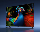 Seria telewizorów innych niż Supreme TV S Pro 2027 RGB Mini LED będzie dostępna w rozmiarach do maksymalnie 98 cali. Na zdjęciu: zdjęcie promocyjne przedstawiające telewizor z tej serii.