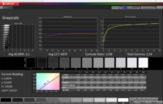 Skala szarości CalMAN