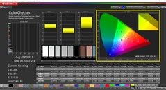 CalMAN ColorChecker (profil: P3, docelowa przestrzeń kolorów: P3)
