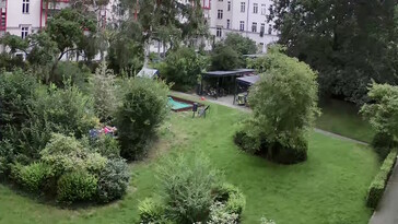 Błotniste szczegóły drzew i krzewów - powiększenie 4x