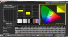 CalMAN ColorChecker (profil: sRGB, docelowa przestrzeń kolorów: sRGB)