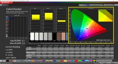 CalMAN ColorChecker (Profil: Natywny, Docelowa przestrzeń kolorów: P3)