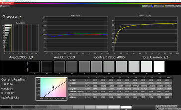 Skale szarości (True Tone: wyłączone, docelowa przestrzeń kolorów: sRGB)