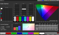 Przestrzeń kolorów CalMAN sRGB