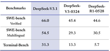 Programiści docenią DeepSeek-V3.1 za jego większe możliwości kodowania. (Źródło obrazu: DeepSeek)