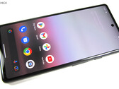 Niektórzy użytkownicy Google Pixel 6a mają poważne problemy po najnowszej aktualizacji oprogramowania (źródło obrazu: Notebookcheck)