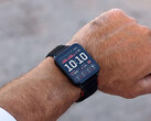 Venu X1 kosztuje prawie tyle samo, co najnowsze smartwatche Garmin Fenix i Forerunner. (Źródło zdjęcia: Garmin)