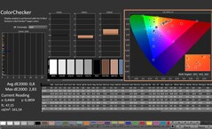 CalMAN: ColorChecker (kalibrowany)